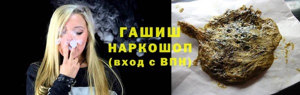 сатива Беломорск