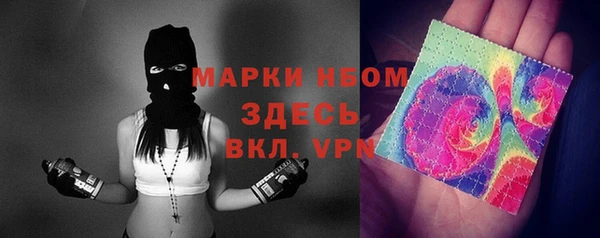 сатива Беломорск