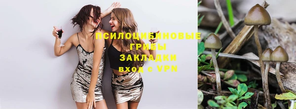 ПСИЛОЦИБИНОВЫЕ ГРИБЫ Богородск
