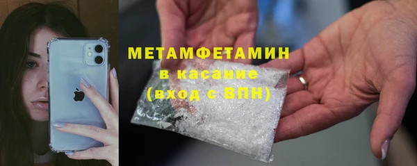 сатива Беломорск