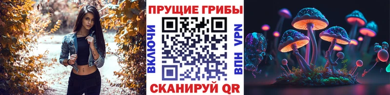 ссылка на мегу   Шенкурск  Псилоцибиновые грибы ЛСД 