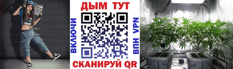 наркошоп  Шенкурск  Шишки марихуана Amnesia 